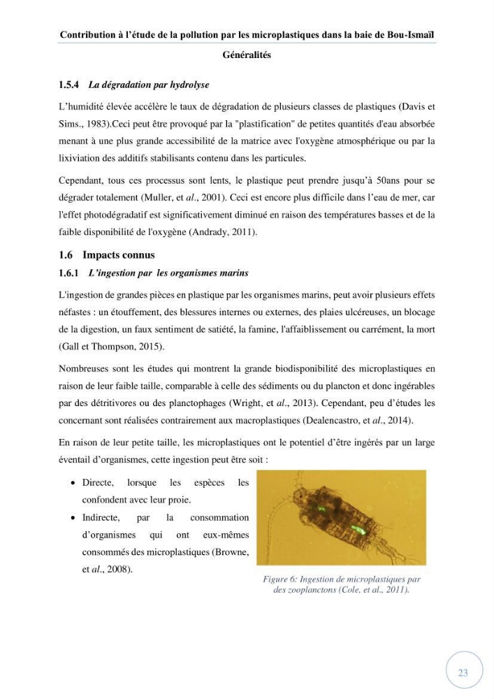 Contribution à l\'étude de la pollution par les micro-plastiques dans la baie de Bou-Ismail: