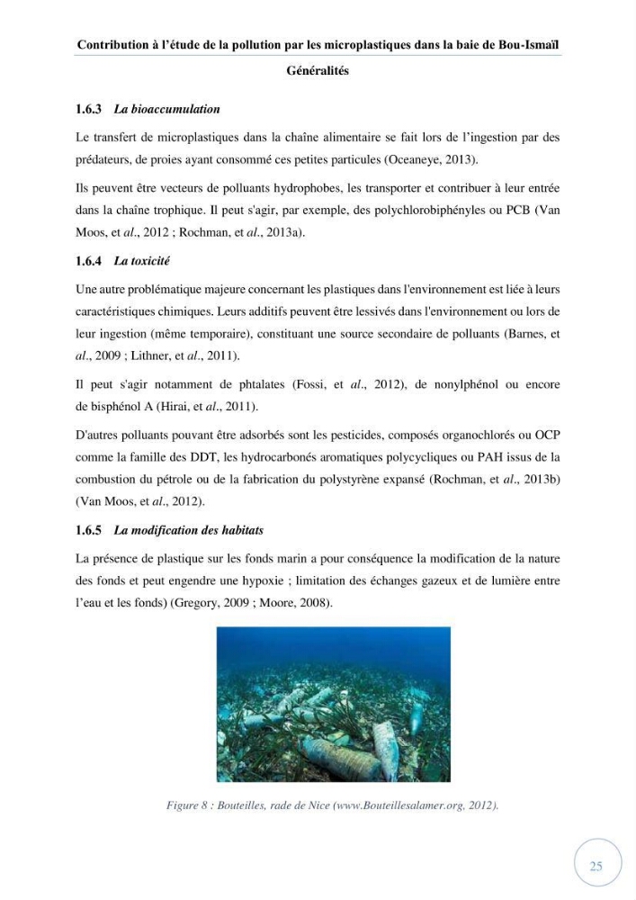 Contribution à l\'étude de la pollution par les micro-plastiques dans la baie de Bou-Ismail: