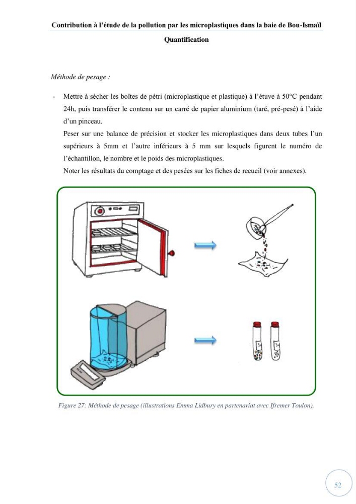 Contribution à l\'étude de la pollution par les micro-plastiques dans la baie de Bou-Ismail: