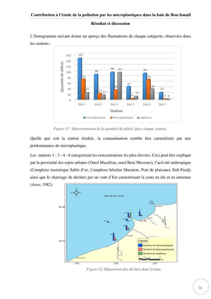 Contribution à l\'étude de la pollution par les micro-plastiques dans la baie de Bou-Ismail: