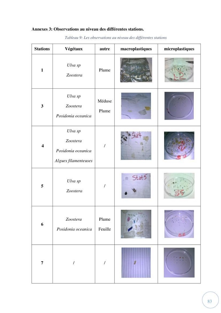 Contribution à l\'étude de la pollution par les micro-plastiques dans la baie de Bou-Ismail: