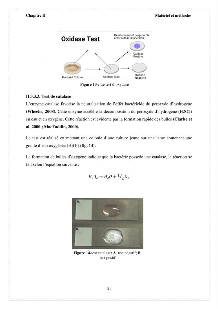 Qualité microbiologique et teneurs en éléments traces métalliques chez les poissons comestibles, risques sanitaires potentiels
