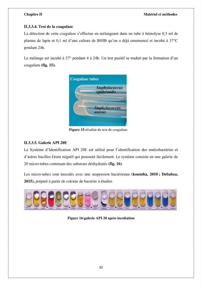 Qualité microbiologique et teneurs en éléments traces métalliques chez les poissons comestibles, risques sanitaires potentiels