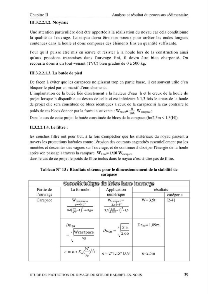 Etude de protection du rivage du site de Hadjret En Enous