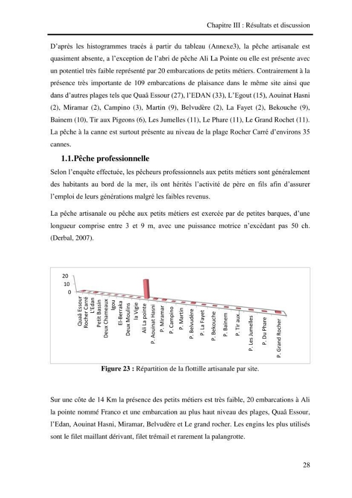 Impact de la pêche artisanale et plaisancière sur l’ichtyofaune de la zone Bab El Oued-Ain Benian.