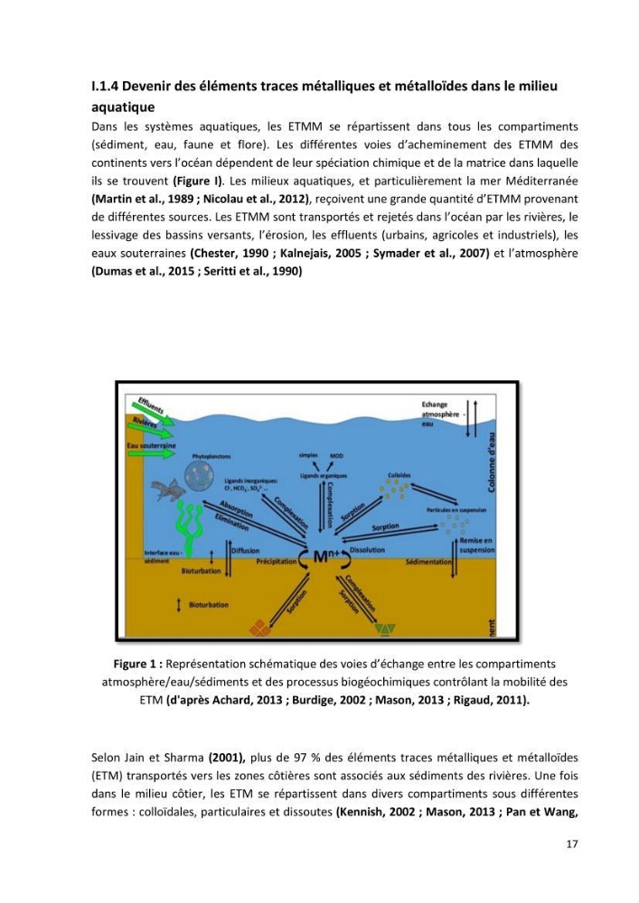 Evaluation et impact de la pollution par les métaux traces sur l’environnement marin as de l’embouchure de l’Oued Beni Messous