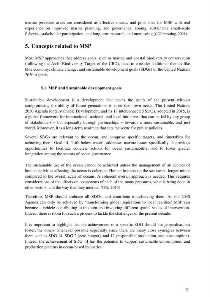 Analysis of the Algerian maritime spatial planning framework applied to the estearn sector