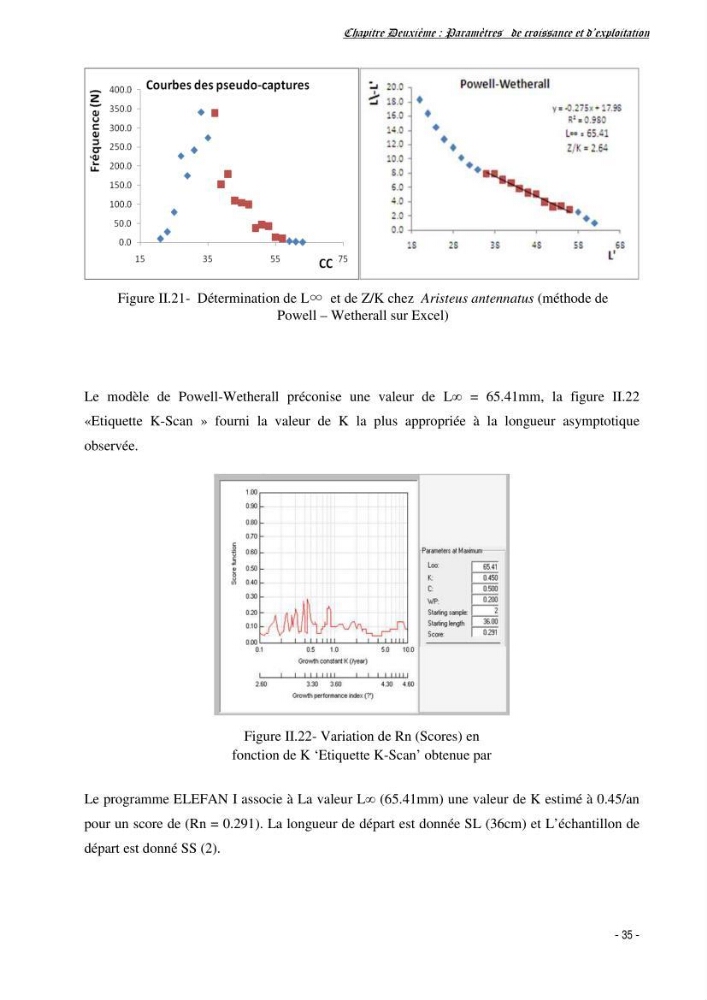 Estimation du niveau d\'exploitation de Centrophorus granulosus (Chondrichthyens, Centrophoridae) dans la région est du bassin Algérien: approche multiengin-multispécifique
