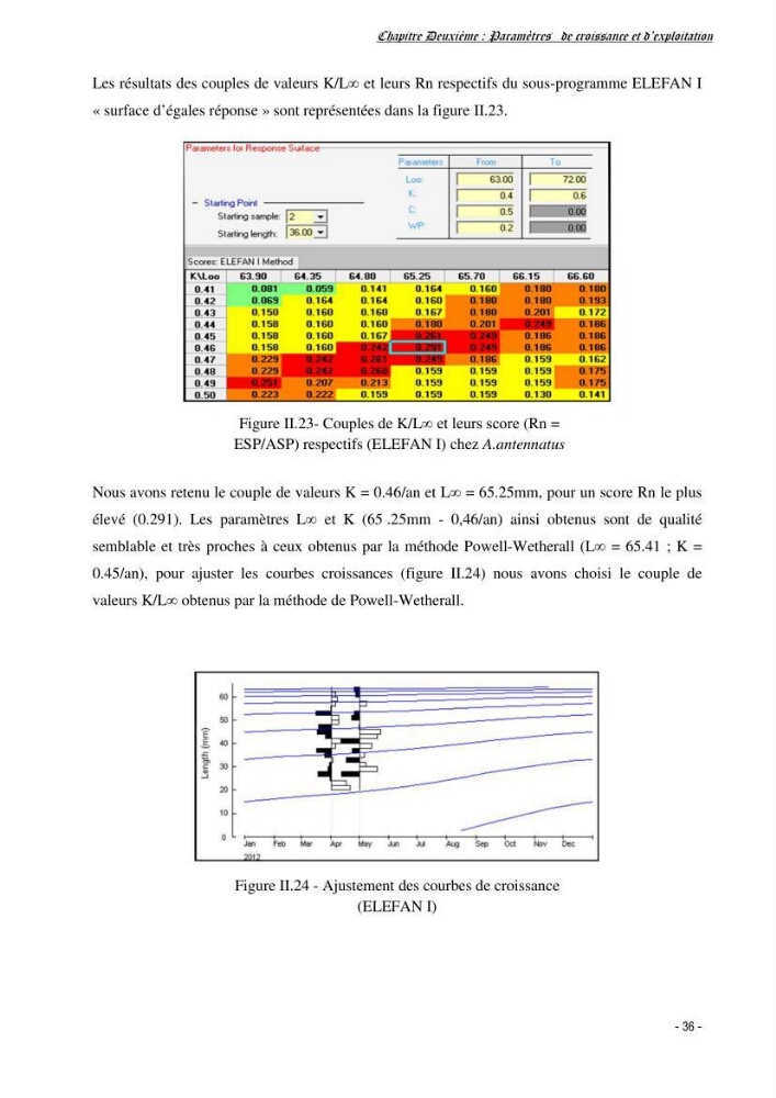 Estimation du niveau d\'exploitation de Centrophorus granulosus (Chondrichthyens, Centrophoridae) dans la région est du bassin Algérien: approche multiengin-multispécifique