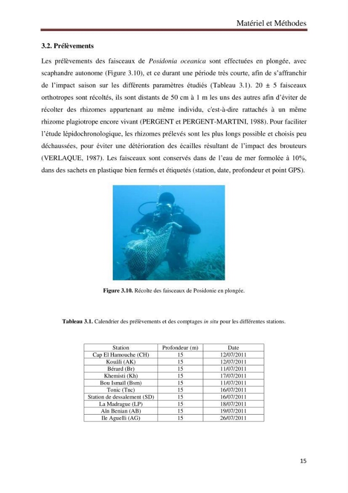 Caractérisation des herbiers à posidonia oceanica (L.) delile de la baie de Bou-Ismail