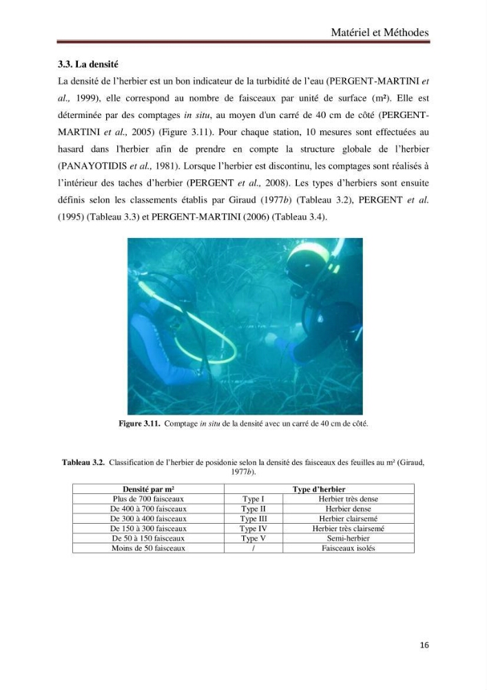 Caractérisation des herbiers à posidonia oceanica (L.) delile de la baie de Bou-Ismail