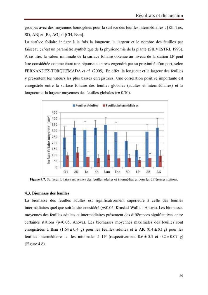 Caractérisation des herbiers à posidonia oceanica (L.) delile de la baie de Bou-Ismail