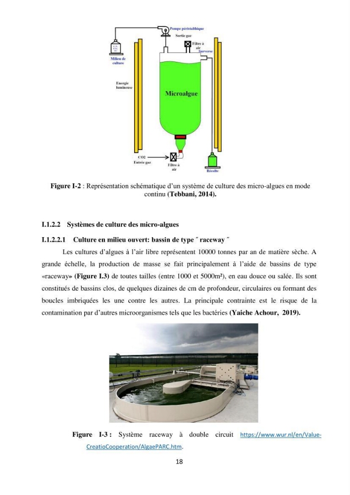 Suivi d’un élevage ostréicole Affinage des huîtres creuses Crassostrea gigas en présence de Chlorella sp.