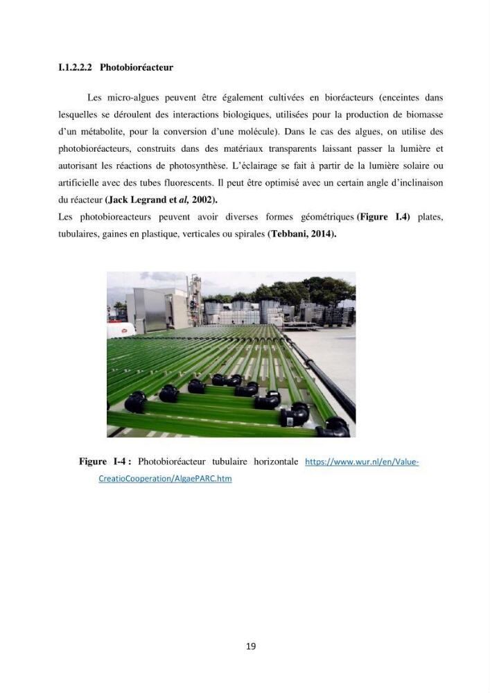 Suivi d’un élevage ostréicole Affinage des huîtres creuses Crassostrea gigas en présence de Chlorella sp.