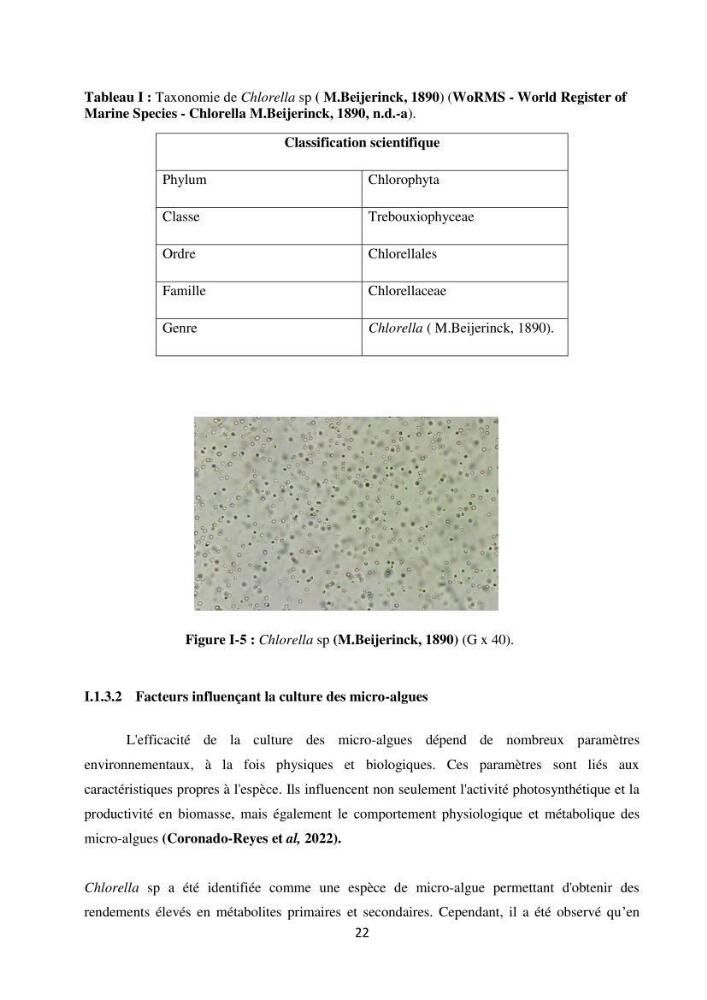 Suivi d’un élevage ostréicole Affinage des huîtres creuses Crassostrea gigas en présence de Chlorella sp.
