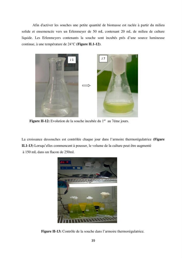 Suivi d’un élevage ostréicole Affinage des huîtres creuses Crassostrea gigas en présence de Chlorella sp.