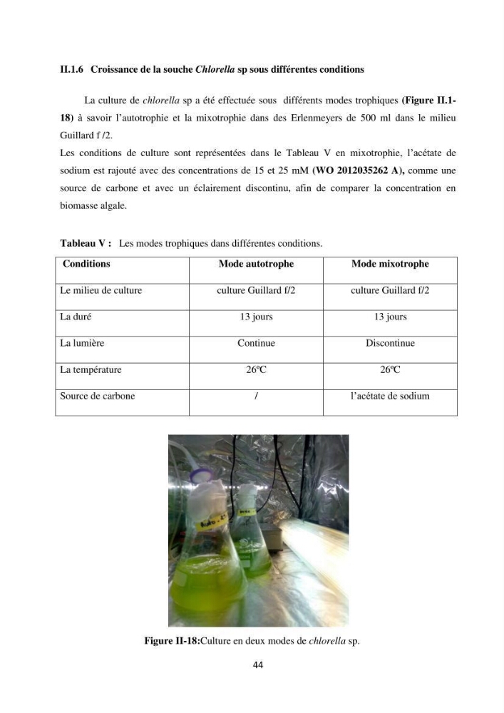 Suivi d’un élevage ostréicole Affinage des huîtres creuses Crassostrea gigas en présence de Chlorella sp.