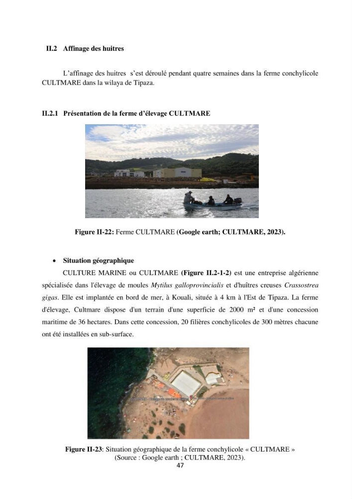 Suivi d’un élevage ostréicole Affinage des huîtres creuses Crassostrea gigas en présence de Chlorella sp.