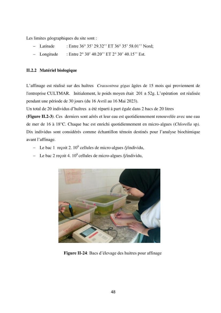 Suivi d’un élevage ostréicole Affinage des huîtres creuses Crassostrea gigas en présence de Chlorella sp.