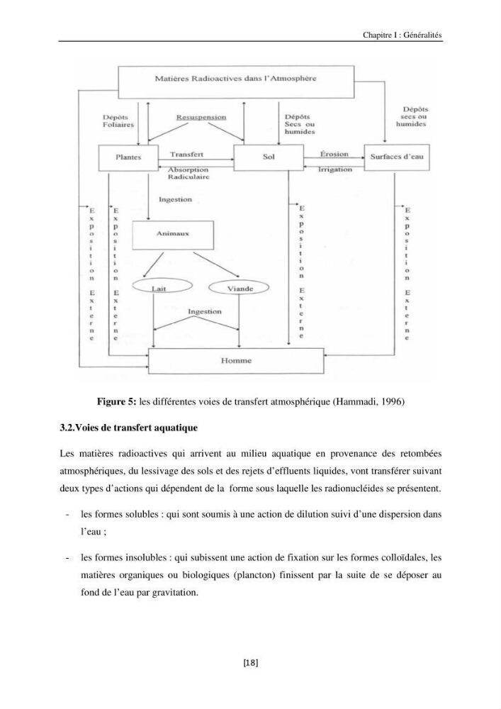 Etude de la répartition de la radioactivité naturelle, et de la minéralogie dans les carottes de sédiments, dans la baie de Bou-Ismail
