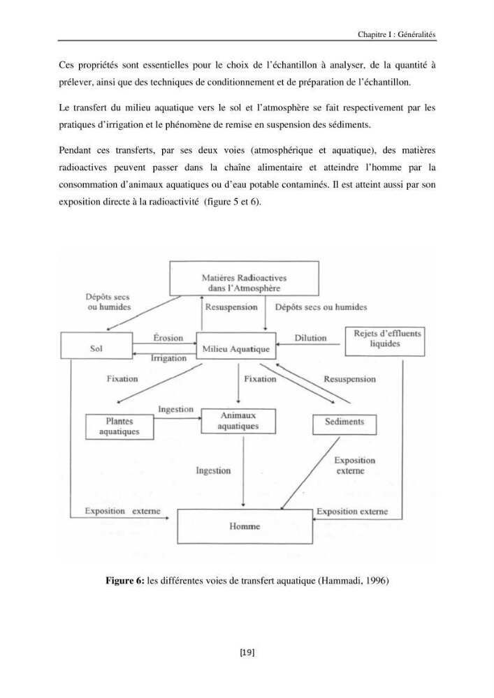 Etude de la répartition de la radioactivité naturelle, et de la minéralogie dans les carottes de sédiments, dans la baie de Bou-Ismail