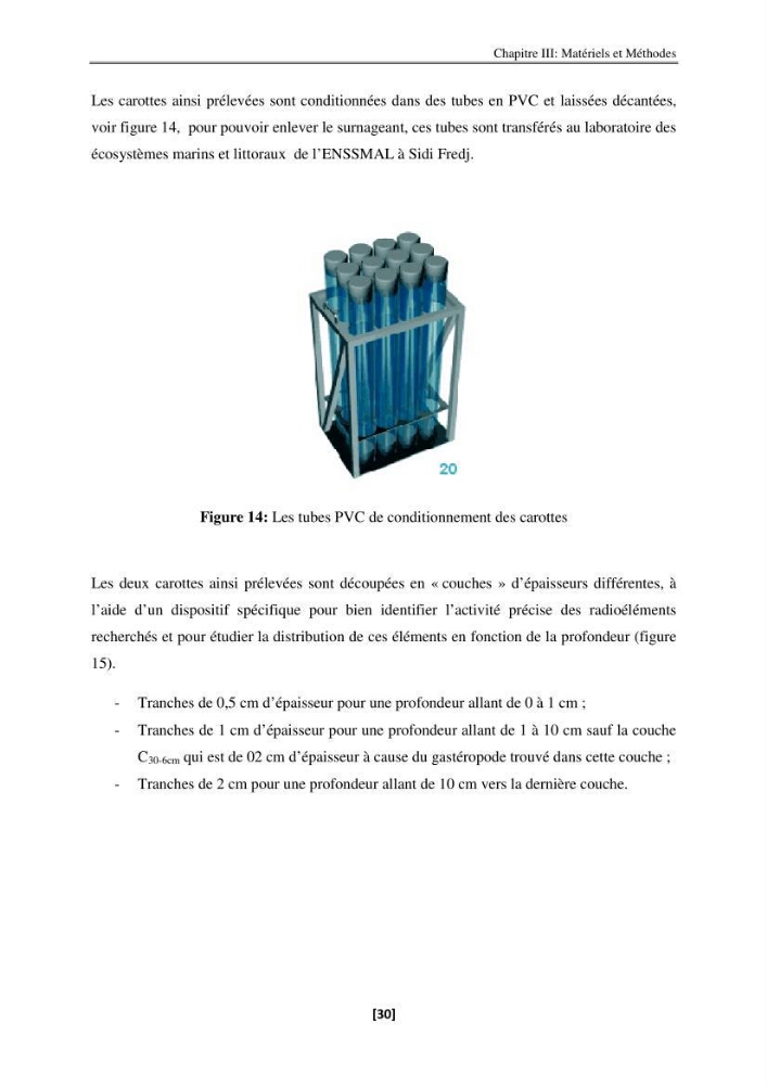 Etude de la répartition de la radioactivité naturelle, et de la minéralogie dans les carottes de sédiments, dans la baie de Bou-Ismail