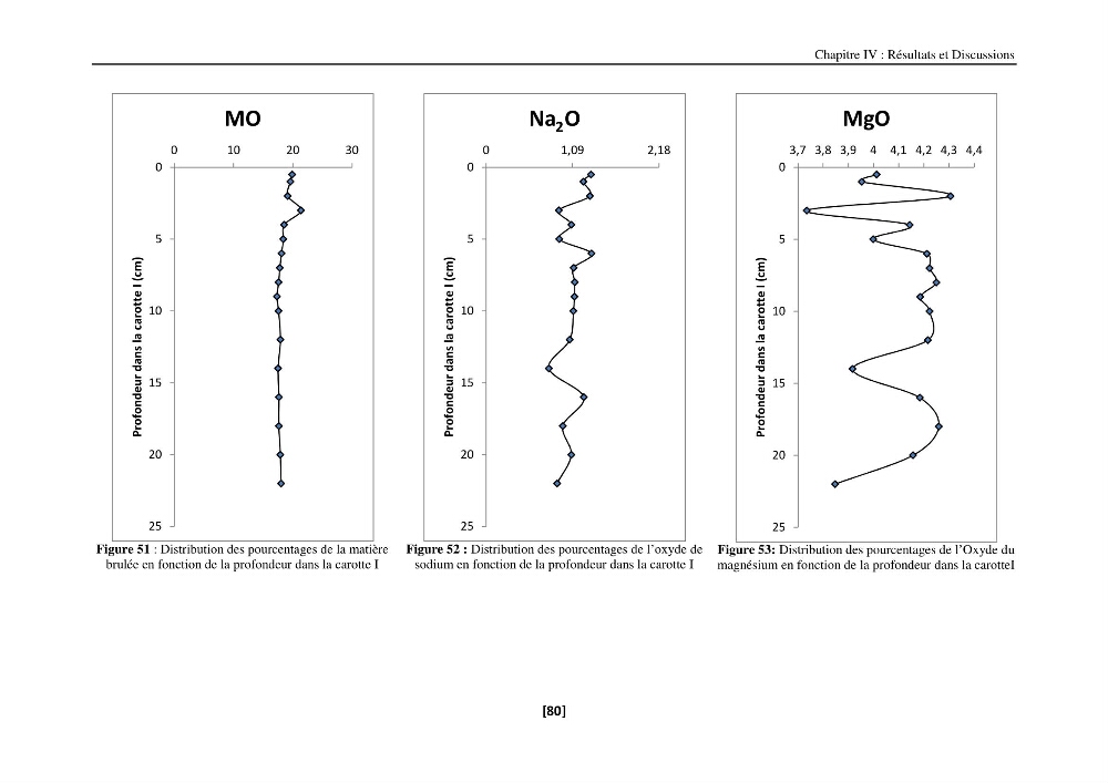 Etude de la répartition de la radioactivité naturelle, et de la minéralogie dans les carottes de sédiments, dans la baie de Bou-Ismail