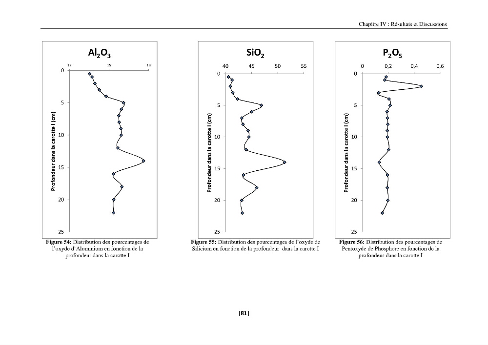 Etude de la répartition de la radioactivité naturelle, et de la minéralogie dans les carottes de sédiments, dans la baie de Bou-Ismail
