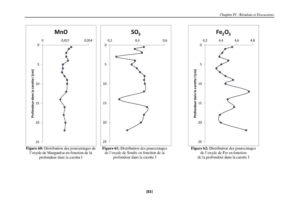 Etude de la répartition de la radioactivité naturelle, et de la minéralogie dans les carottes de sédiments, dans la baie de Bou-Ismail