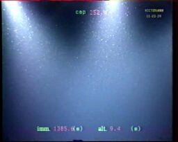 Victor 6000 Engin Téléopéré Pour La Recherche Scientifique