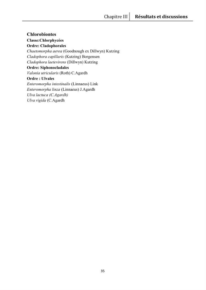 Recherche des espèces algales à intérêt aquacole dans la région de Tipaza