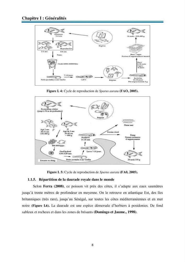 Evolution de la croissance de la daurade d’élevage au niveau de la ferme SRL AQUACAP (Beni Ksila, Béjaia):