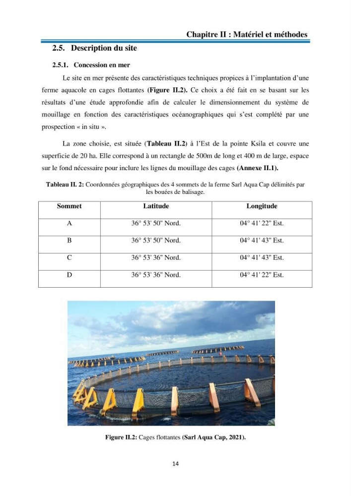 Evolution de la croissance de la daurade d’élevage au niveau de la ferme SRL AQUACAP (Beni Ksila, Béjaia):