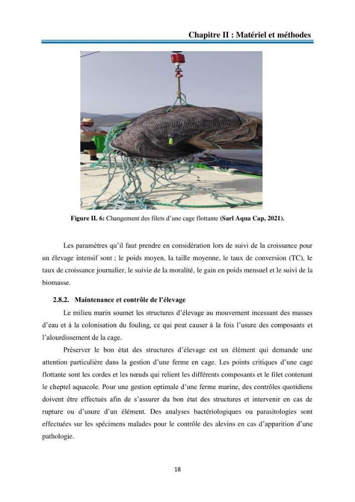 Evolution de la croissance de la daurade d’élevage au niveau de la ferme SRL AQUACAP (Beni Ksila, Béjaia):