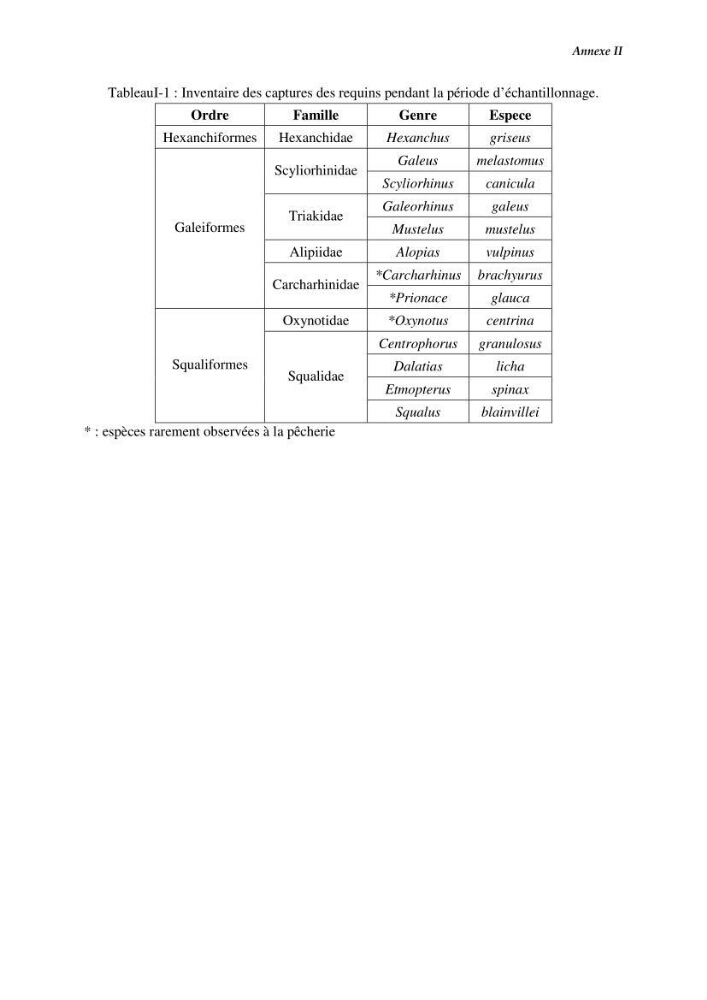 Contribution à l\'étude du comportement de Galeus melastomus (Scyliorhinidae, Elasmobranches) dans le bassin Algérien