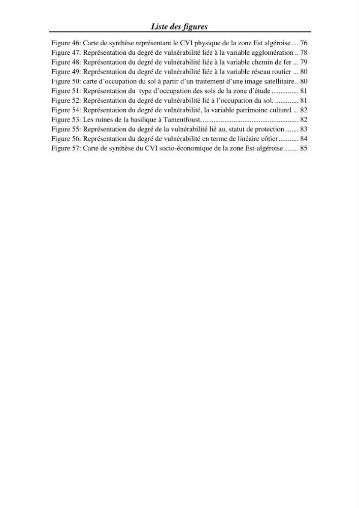 Etude et évaluation de l\'état de la vulnérabilité du système côtier de la zone Est-Algéroise