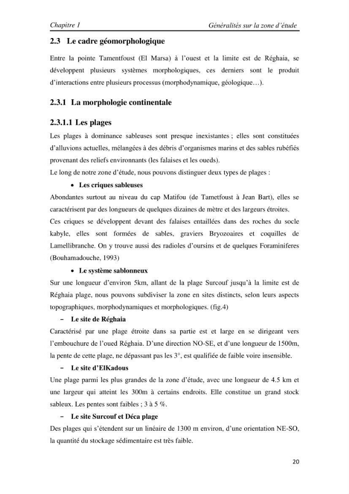 Etude et évaluation de l\'état de la vulnérabilité du système côtier de la zone Est-Algéroise