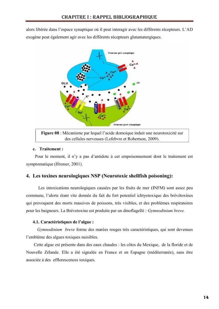 Synthèse bibliographique sur les phycotoxines