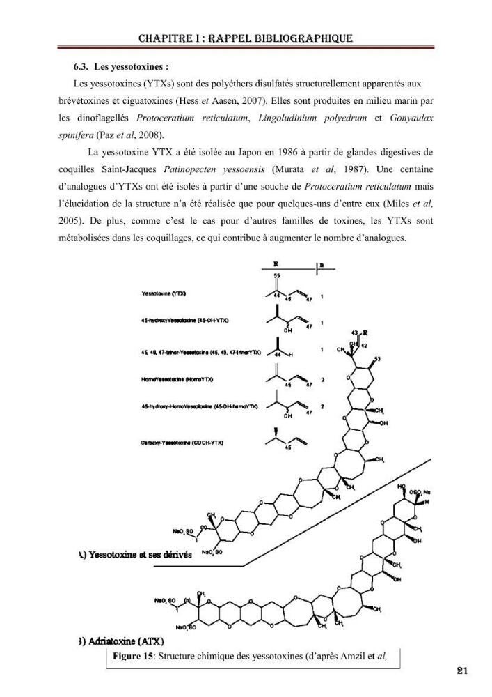 Synthèse bibliographique sur les phycotoxines