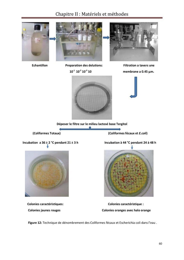 Contribution a L\'étude des parametres physico-chimique et bactériologiques du littoral de boudouaou el bahri pour la création d\'une station d\'une station d\'épuration
