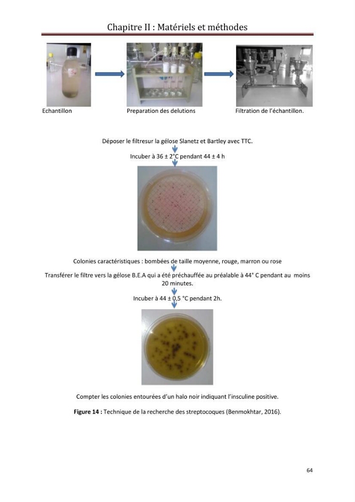 Contribution a L\'étude des parametres physico-chimique et bactériologiques du littoral de boudouaou el bahri pour la création d\'une station d\'une station d\'épuration