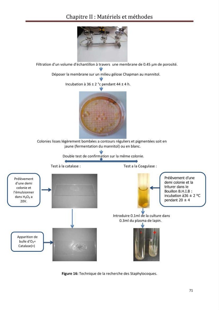 Contribution a L\'étude des parametres physico-chimique et bactériologiques du littoral de boudouaou el bahri pour la création d\'une station d\'une station d\'épuration