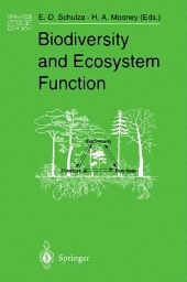 Biodiversity and ecosystem function