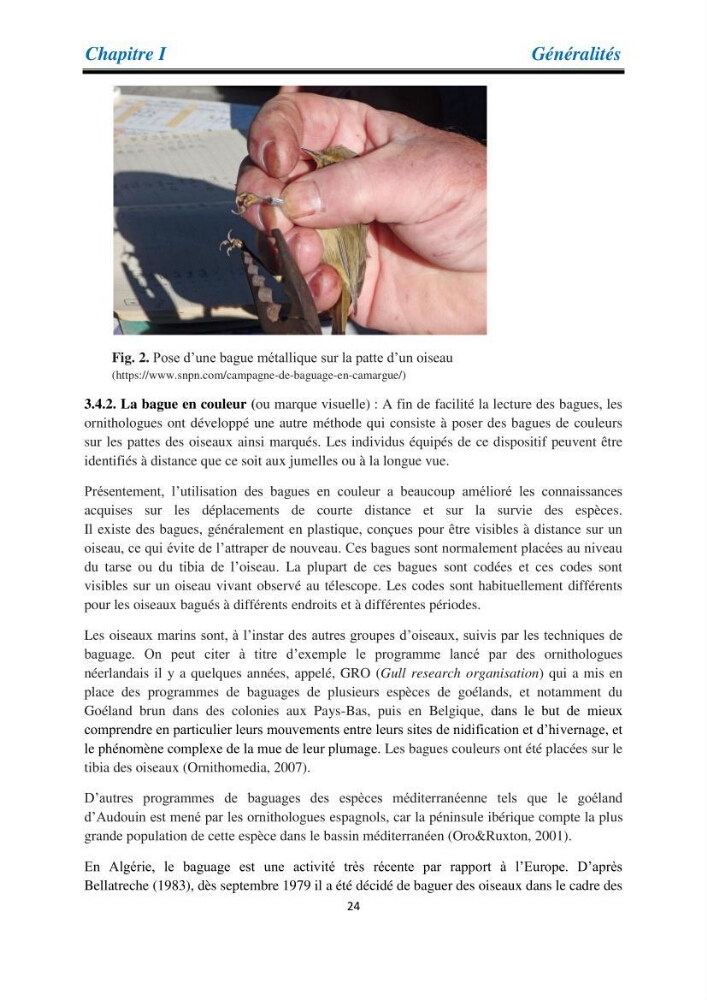 Proposition d’une méthode d’inventaire des oiseaux marins: application au littoral de la wilaya de Tipaza
