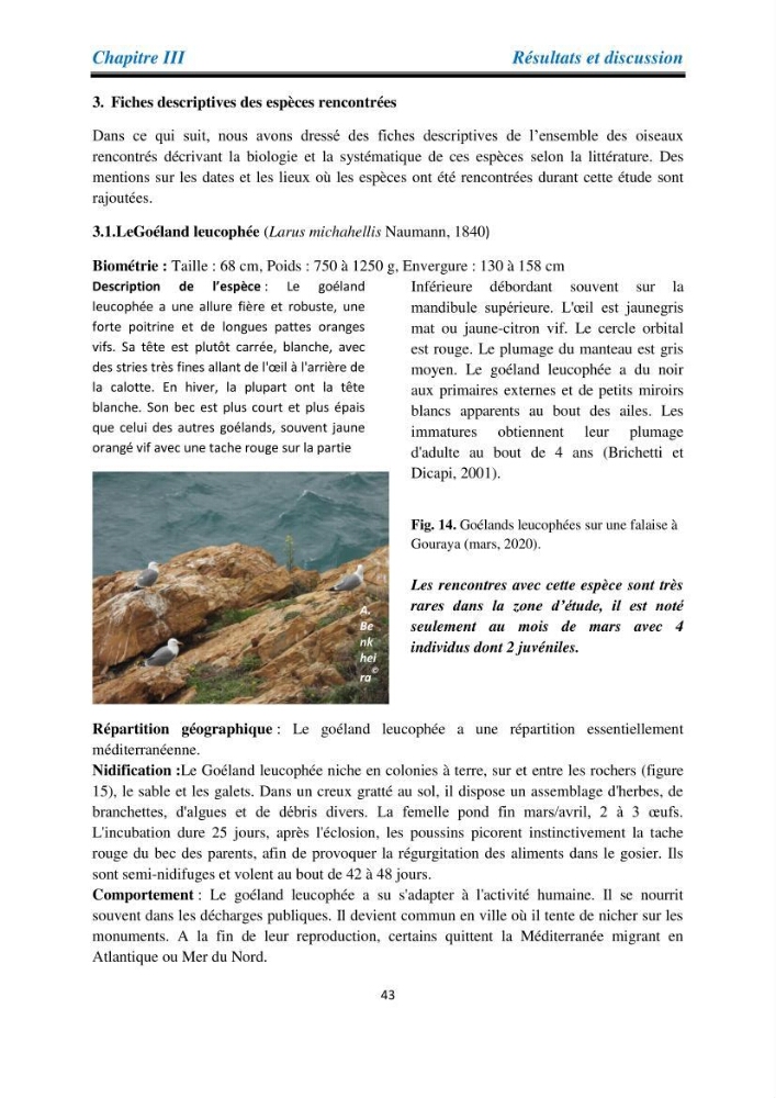 Proposition d’une méthode d’inventaire des oiseaux marins: application au littoral de la wilaya de Tipaza