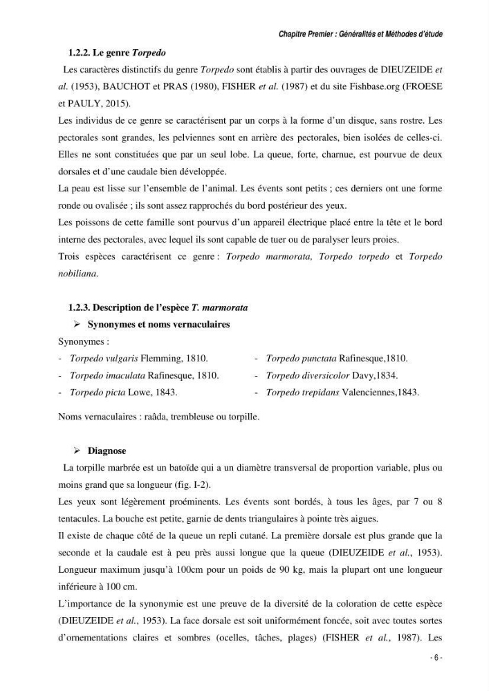 Comportement, Croissance et Exploitation de Torpedo marmorata Risso, 1810 (CHONDRICHTHYENS, TORPEDINIDAE) dans le bassin Algérien