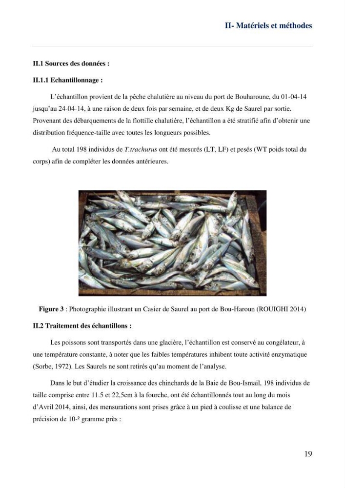 Contribution à l\'étude des paramètres biologiques et d\'exploitation de saurel Trachurus Trachurus ( Linne, 1758) dans la baie de Bou-Ismail: