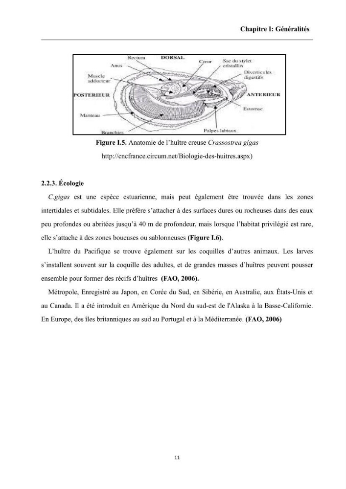 Contribution à l’évaluation de la qualité environmental d’une ferme aquacole