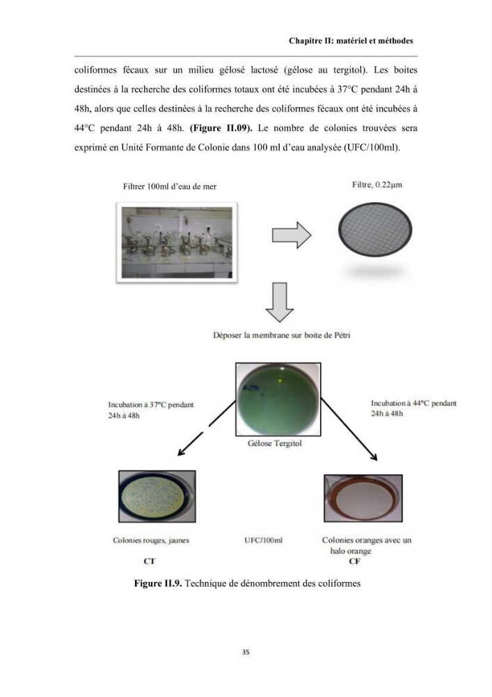 Contribution à l’évaluation de la qualité environmental d’une ferme aquacole