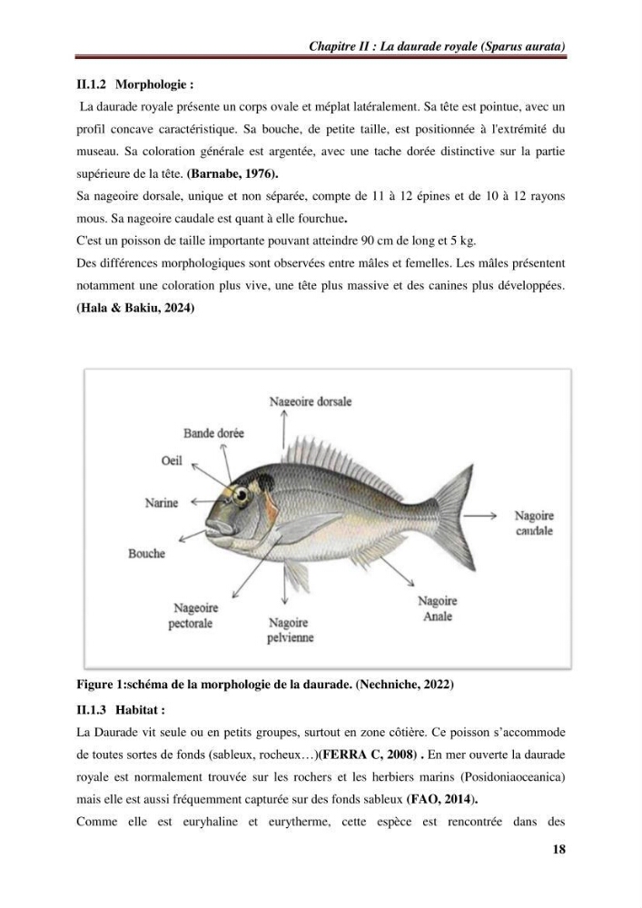 Estimation de la contamination par certains métaux lourds au niveau de la chair d\'un poisson d\'élevage